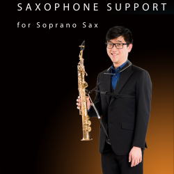 ERGOsax Soprano support